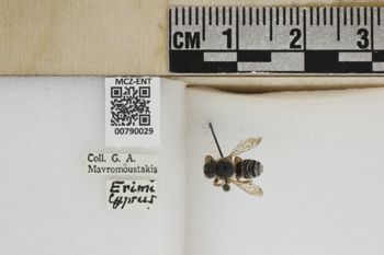 Media type: image;   Entomology 790029 Aspect: Labels